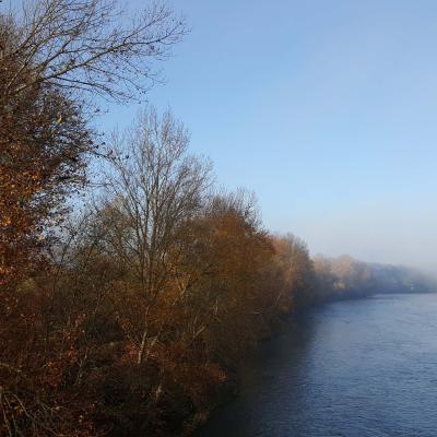 Bords de Garonne à l'automne