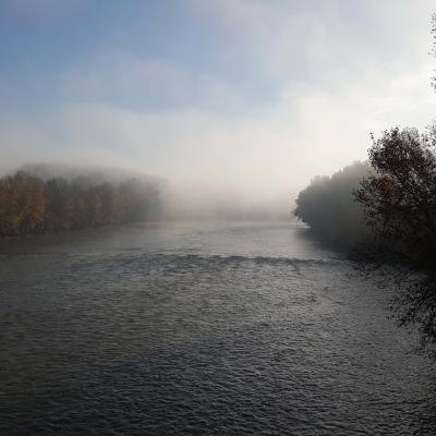 Bords de Garonne à l'automne