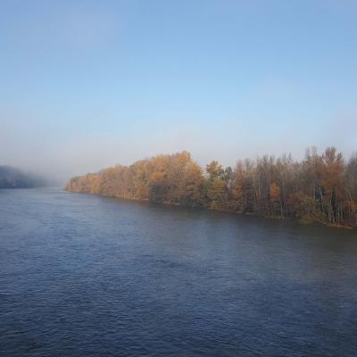 Bords de Garonne à l'automne