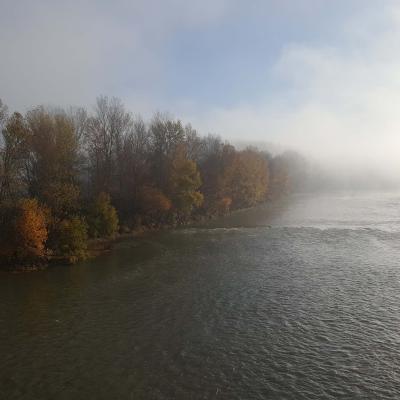 Bords de Garonne à l'automne