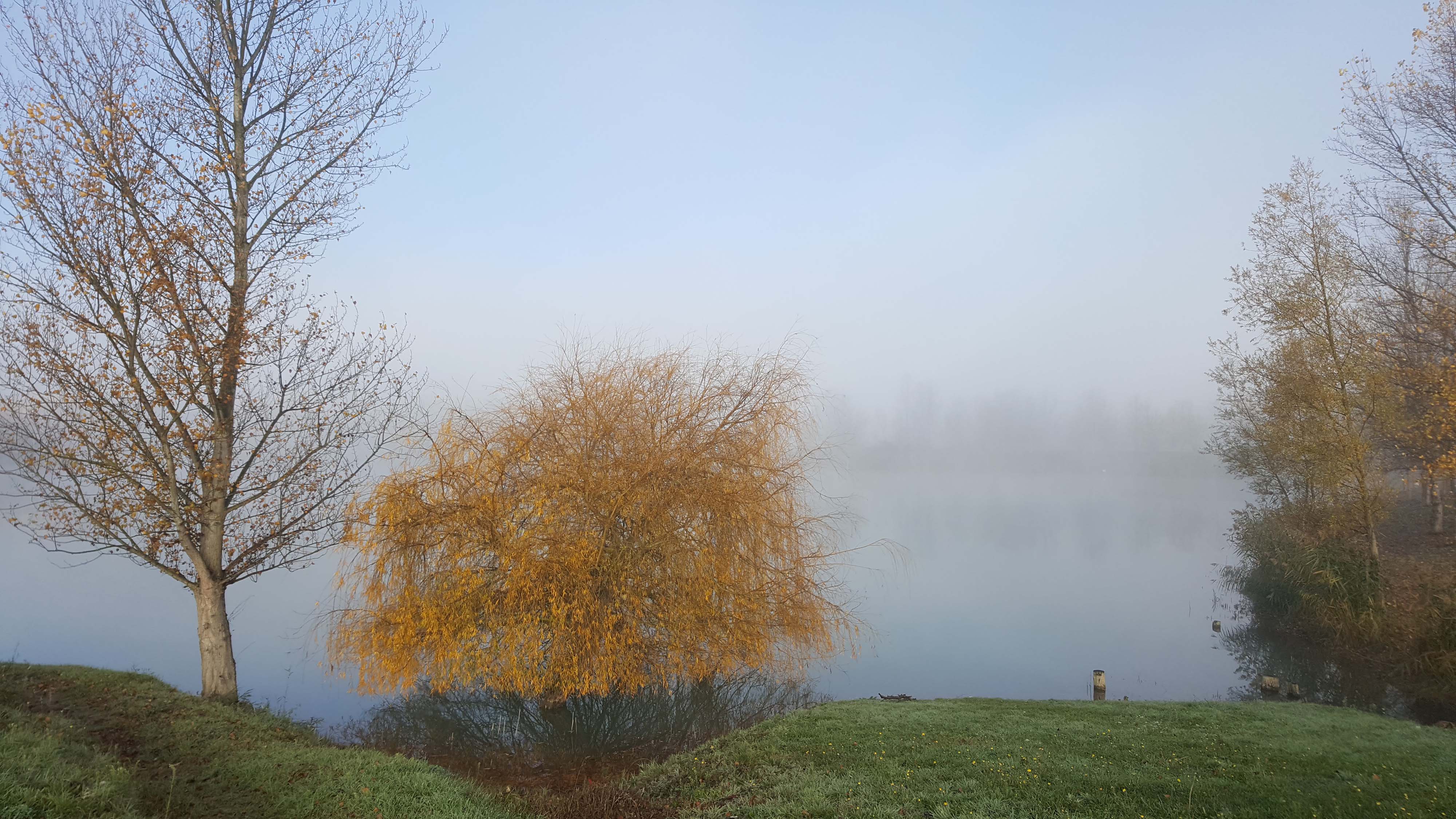 Bords de Garonne à l'automne