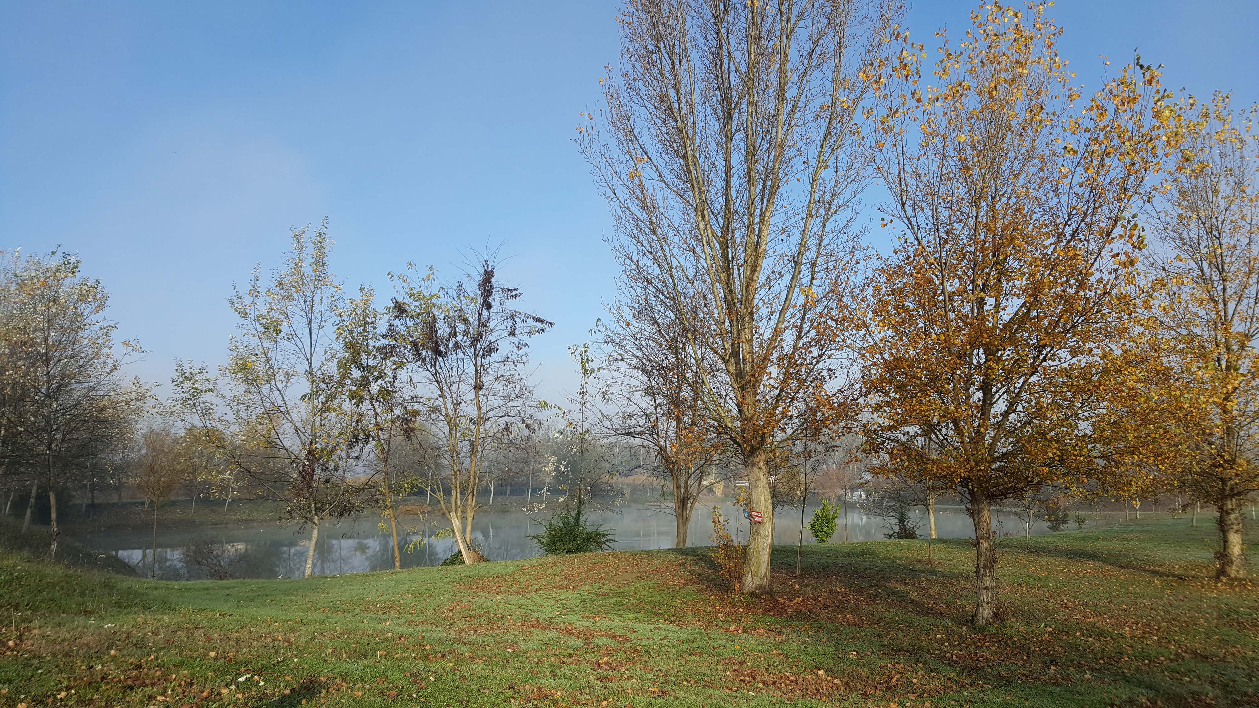 Bords de Garonne à l'automne