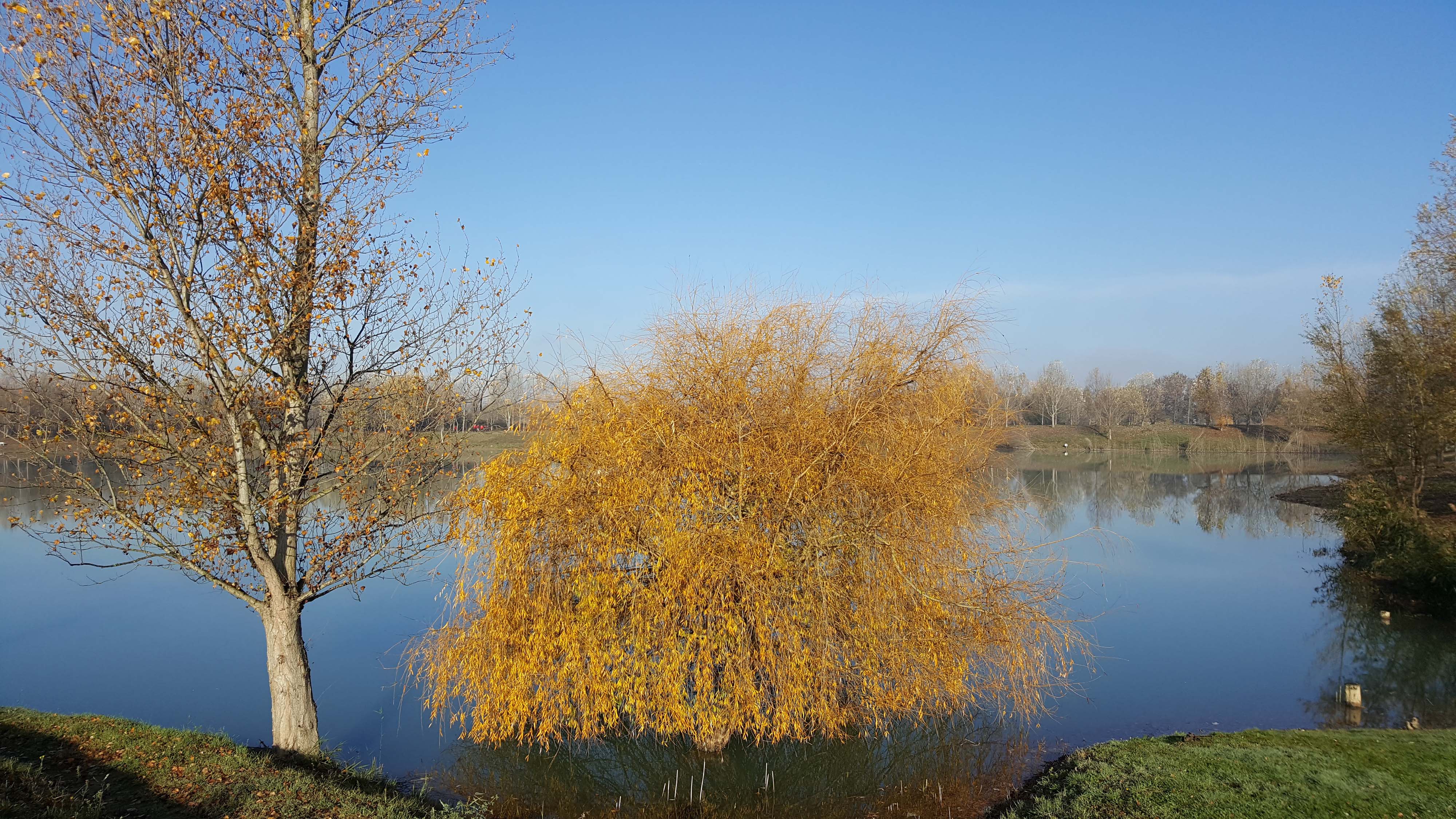 Bords de Garonne à l'automne