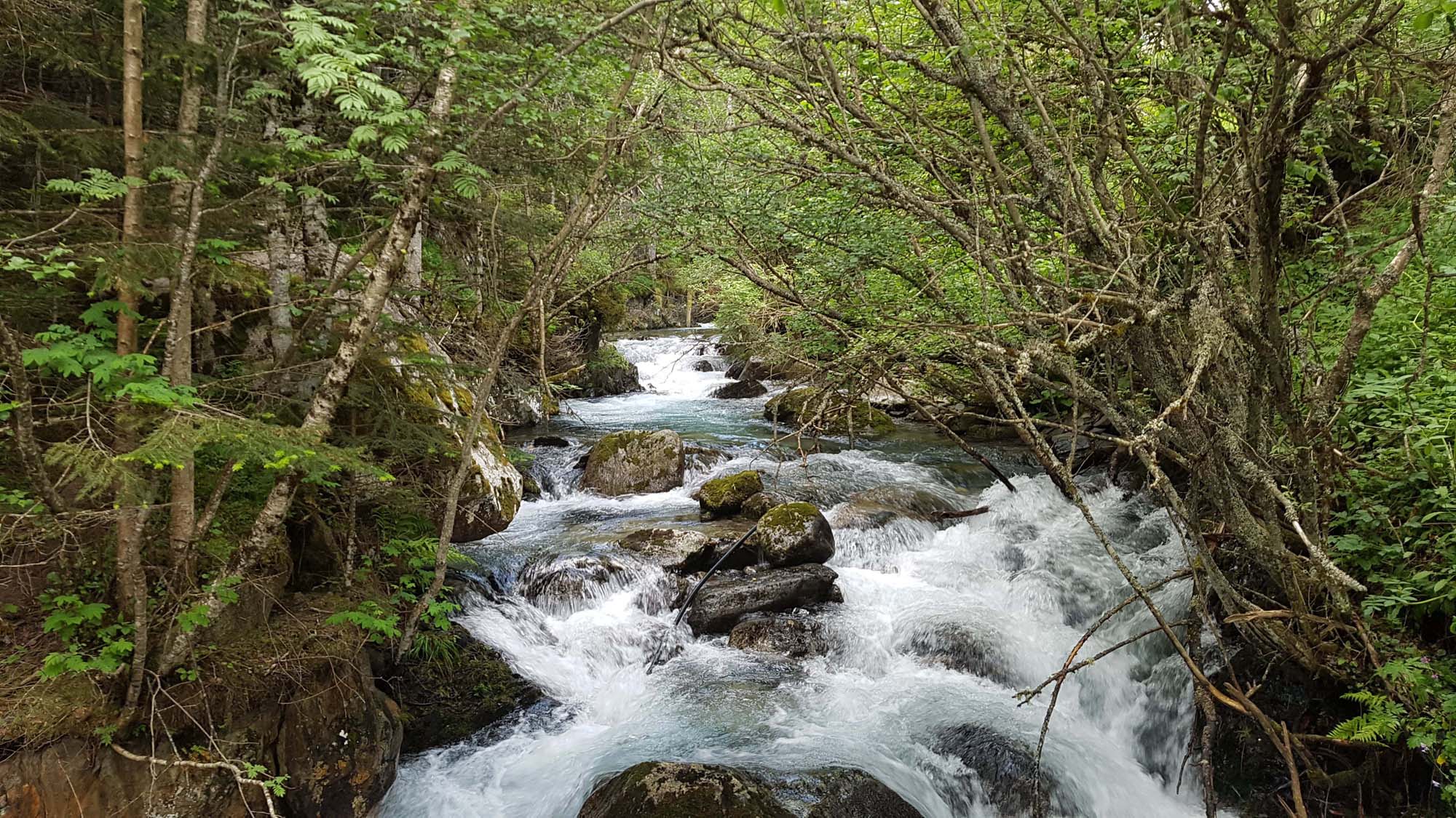 Encantats-Juin18-Michel_16