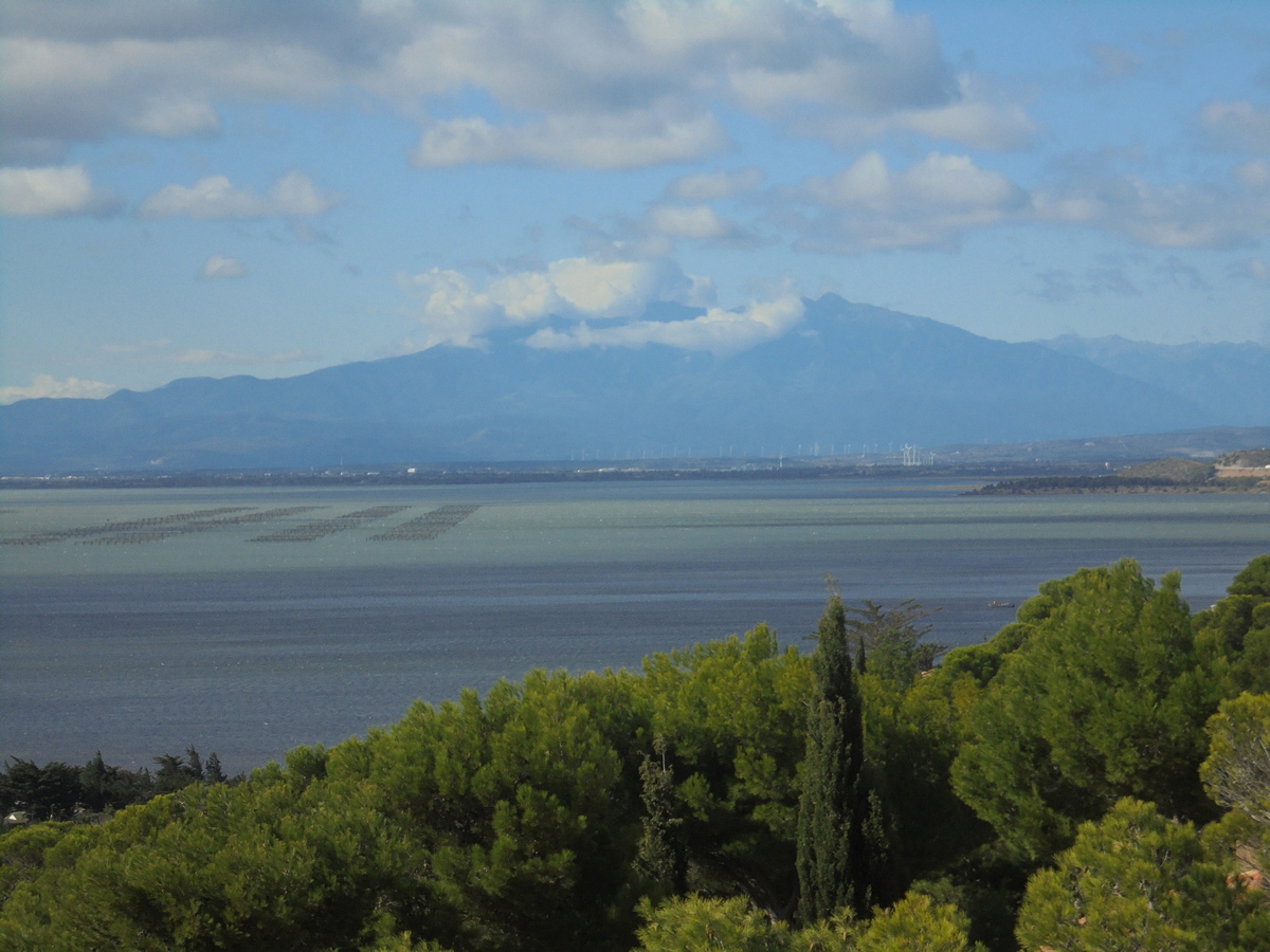La Franqui(15)