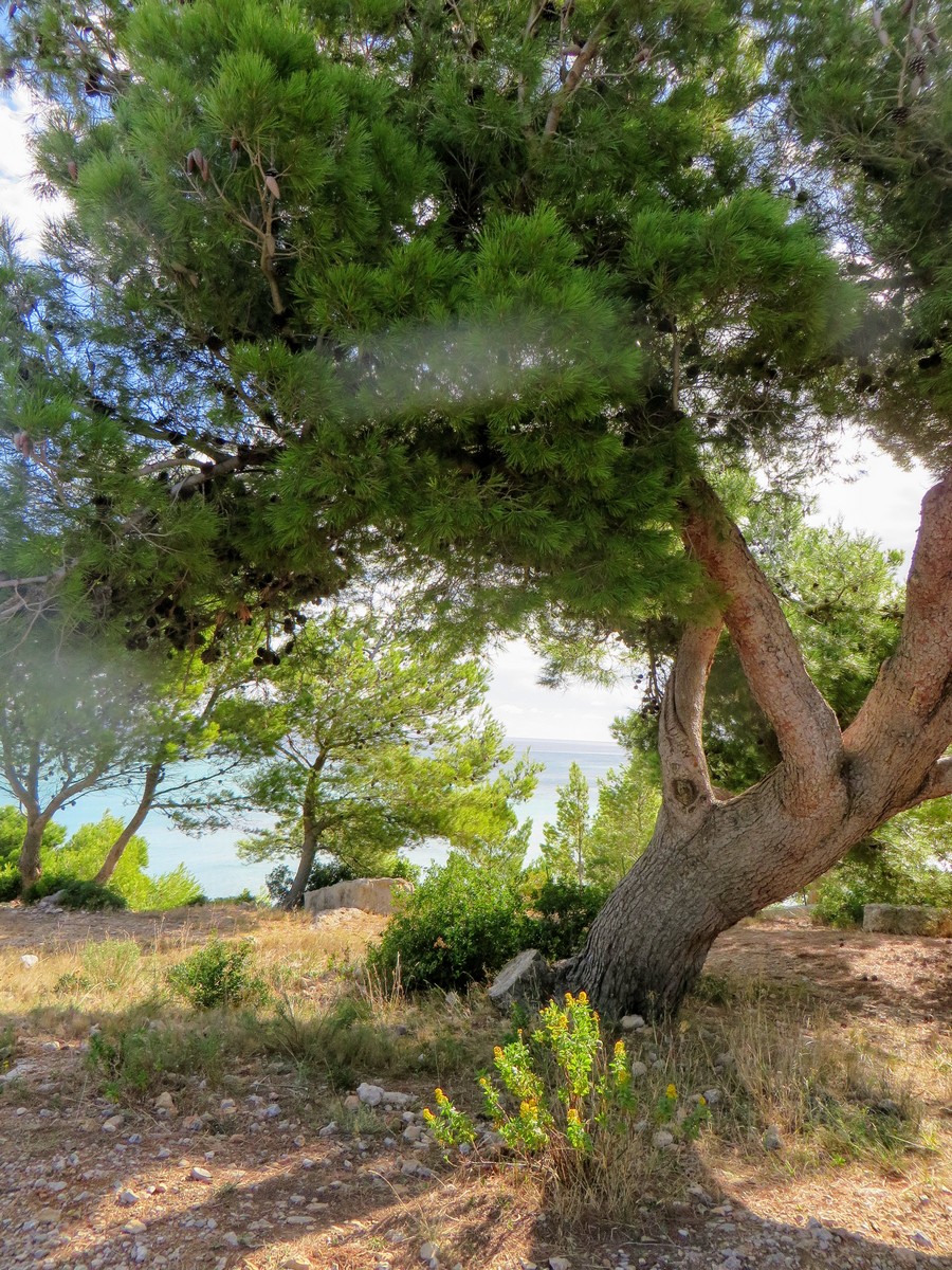 La Franqui(17)