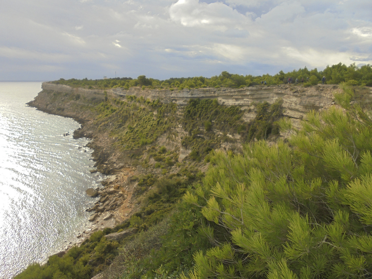 La Franqui(3)
