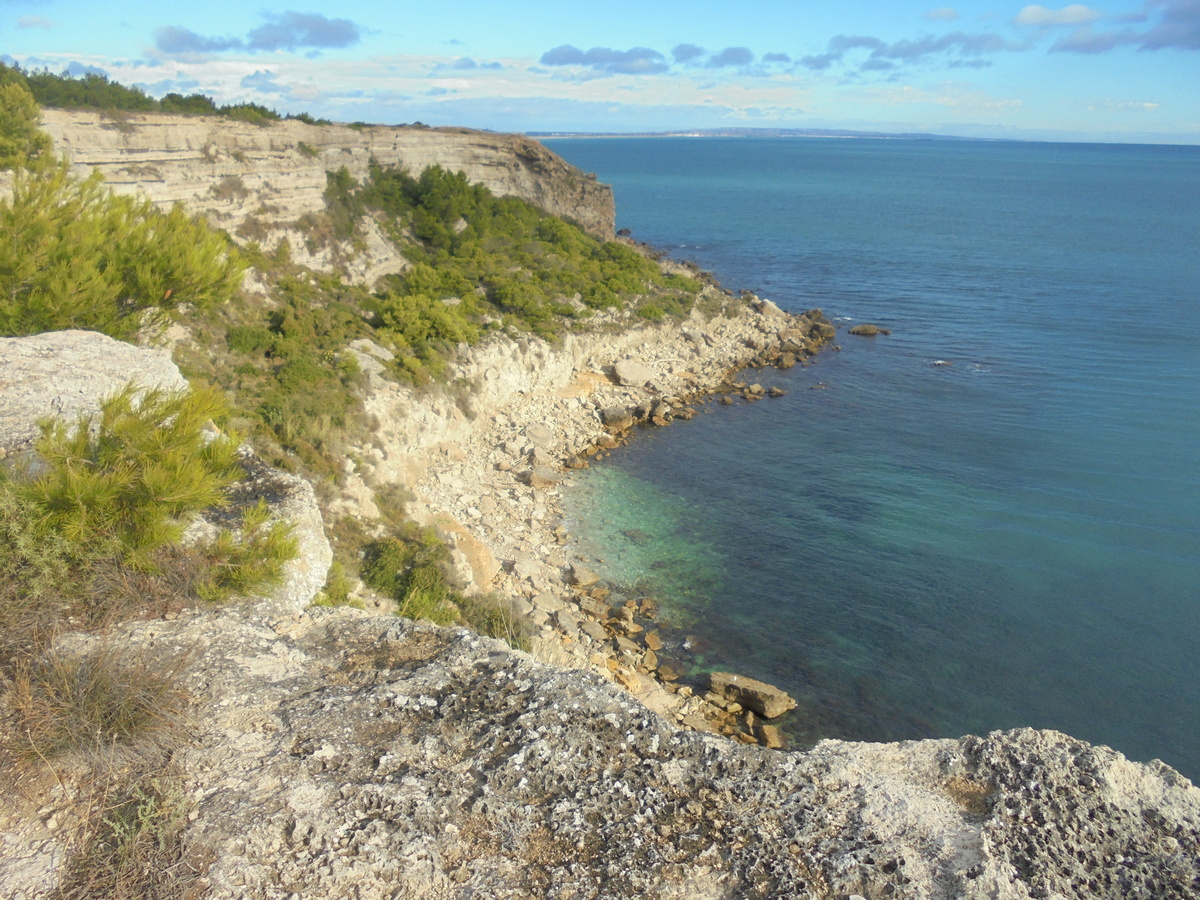 La Franqui(4)