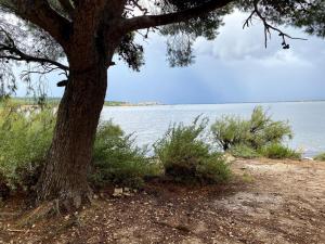Peyriac de mer